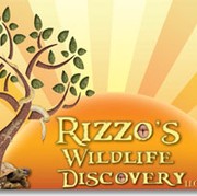 Rizzo's Wildlife Discovery Llc - thumbnail image